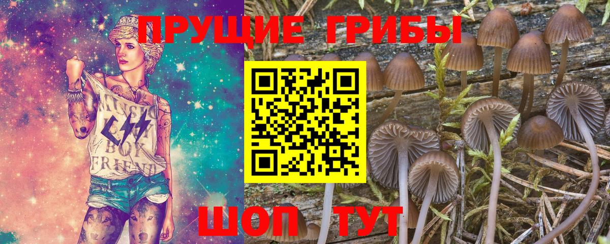 Галлюциногенные грибы ЛСД Таганрог