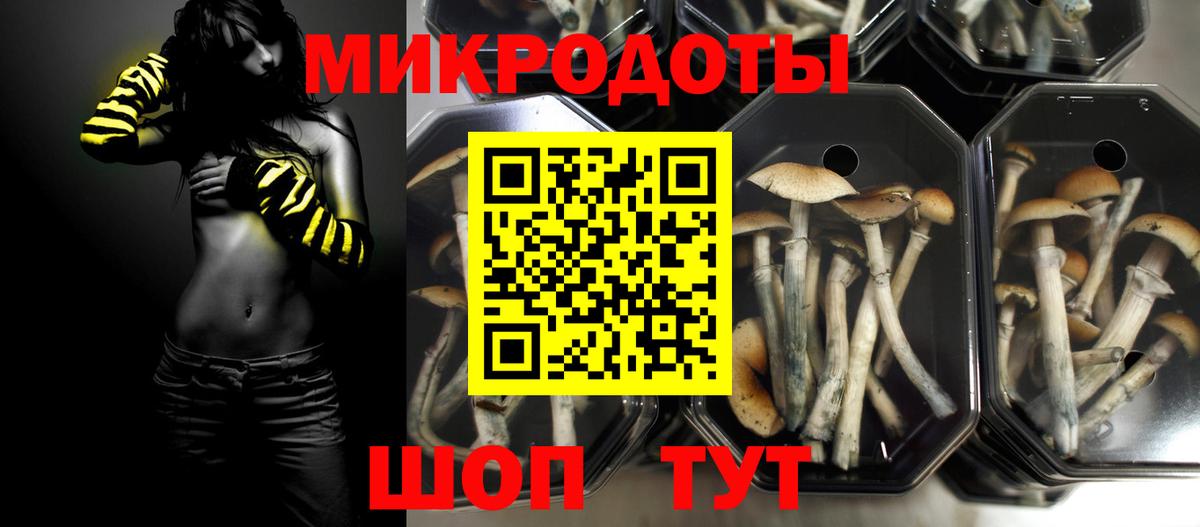 где продают наркотики  Псилоцибиновые грибы Psilocybe  Галлюциногенные грибы Cubensis  Вход с VPN  Таганрог 